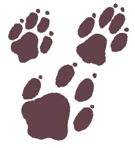 Logo (Red Paws background)